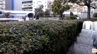 刚刚更新成人视频.猪泡泡影院在线a 日本一区二区在线看_国产在线精品观看一区欧美国产精品不卡在线观看_国产亚洲一区二区手机在线观看